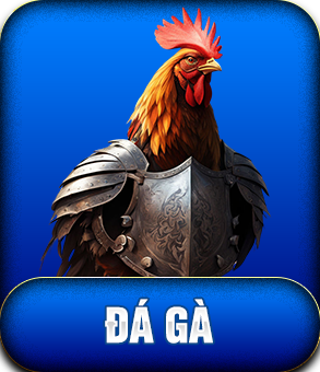 đá gà