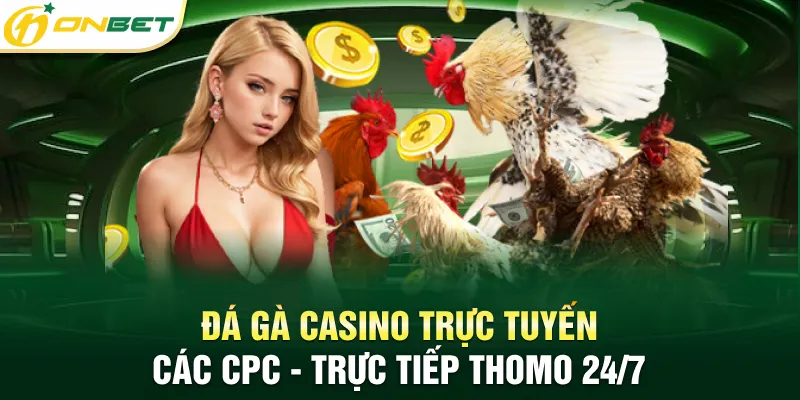 Đá gà casino trực tuyến CPC - Thomo 24/7