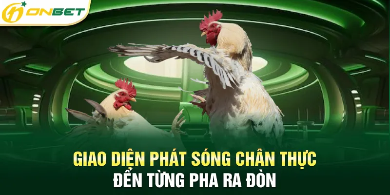 Đá Gà ONBET Giao diện phát sóng chân thực đến từng pha ra đòn