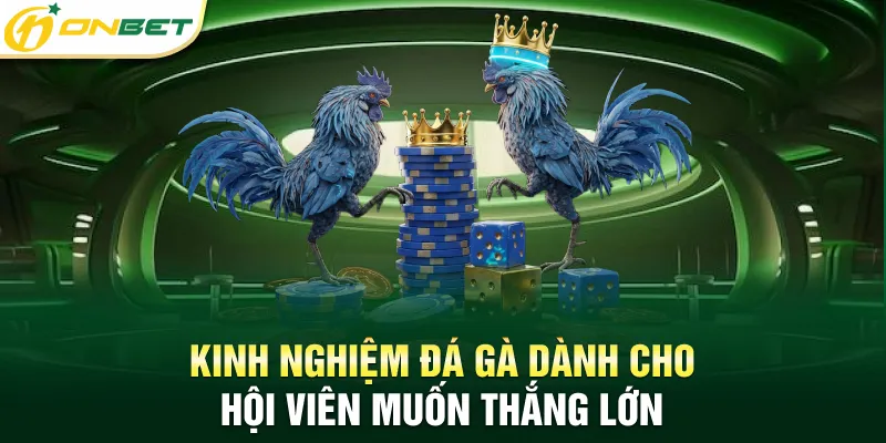 Đá Gà ONBET Kinh nghiệm đá gà dành cho hội viên muốn thắng lớn